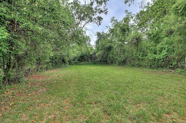 1586 Lee Beard Way, Augusta, GA 30901 - view of grassy yard with a wooded view