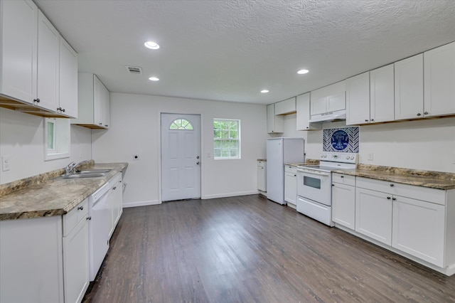 1586 Lee Beard Way, Augusta, GA 30901 - kitchen featuring white appliances, under cabinet range hood, a sink, dark wood-style flooring, and white cabinets