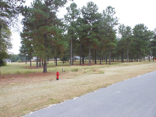 0 Shady Oak Ln, Waynesboro, GA 30830 - photo 6
