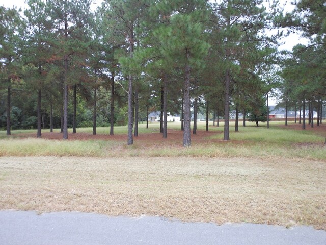 0 Shady Oak Ln, Waynesboro, GA 30830 - photo 7