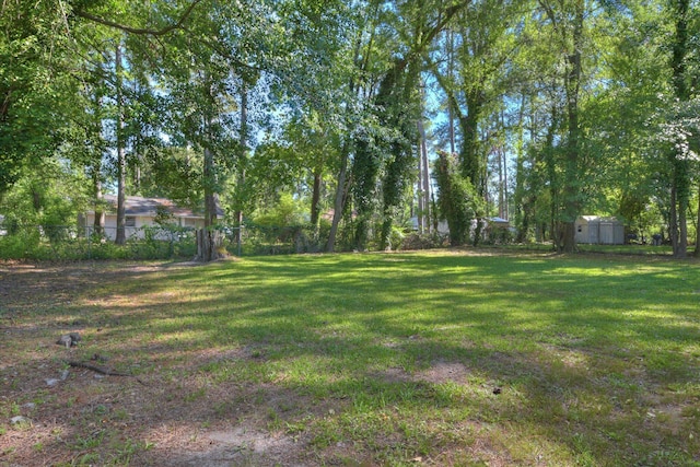 1608 Cider Ln, Augusta, GA 30906 - view of yard
