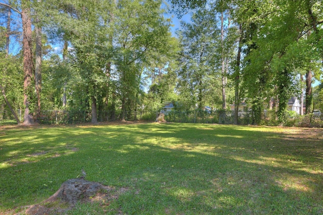 1608 Cider Ln, Augusta, GA 30906 - view of yard