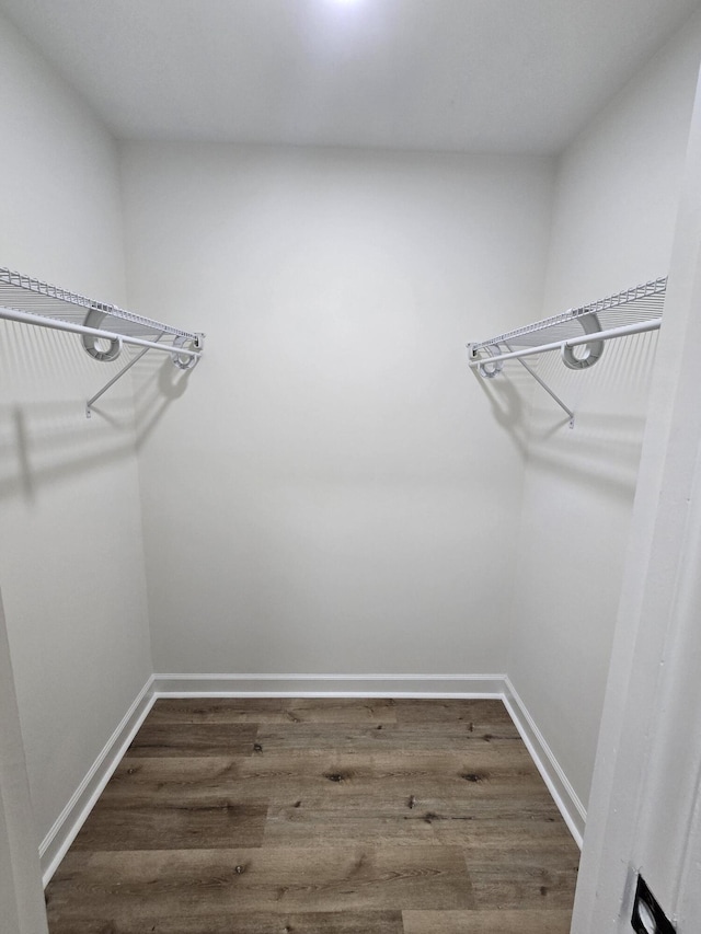 469 Lawrence Dr, Evans, GA 30809 - walk in closet with dark wood-type flooring