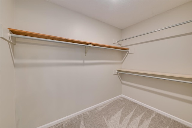 4171 Arlington Rd, Evans, GA 30809 - walk in closet with carpet flooring