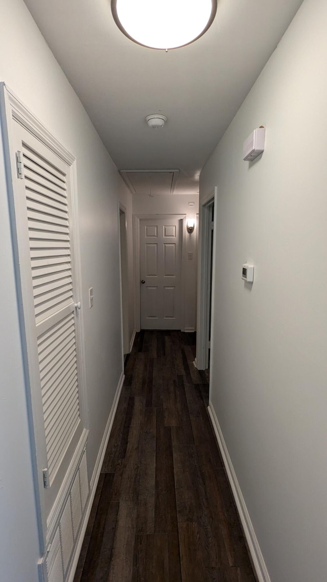 hall featuring dark hardwood / wood-style floors