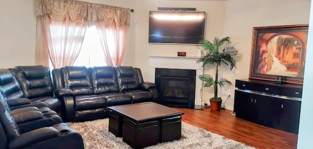 living room with hardwood / wood-style flooring