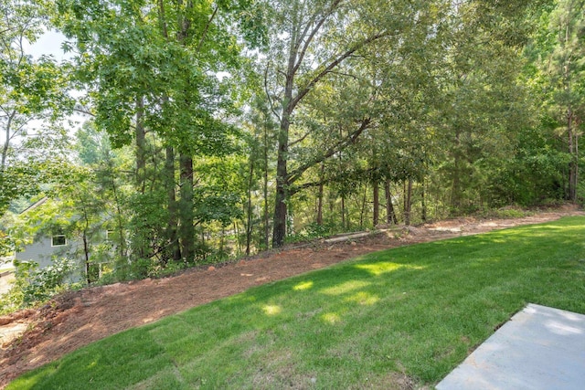 3605 Pebble Creek Dr, Hephzibah, GA 30815 - view of green lawn