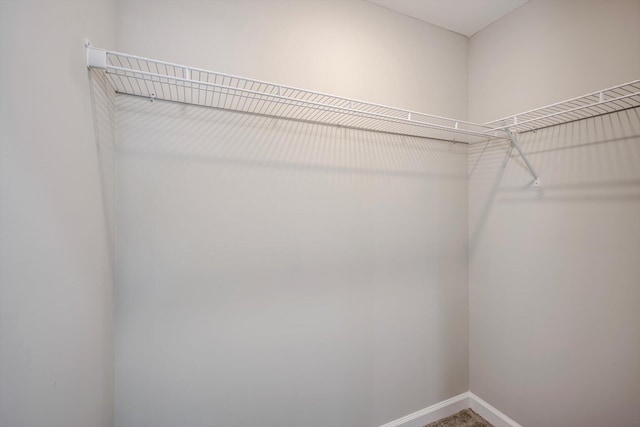 3605 Pebble Creek Dr, Hephzibah, GA 30815 - spacious closet featuring carpet floors