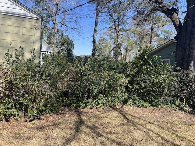 303 Spruce St, Louisville, GA 30434 - view of yard