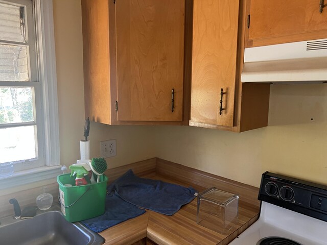 303 Spruce St, Louisville, GA 30434 - kitchen featuring a sink, range, brown cabinets, and under cabinet range hood