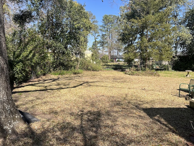 303 Spruce St, Louisville, GA 30434 - view of yard