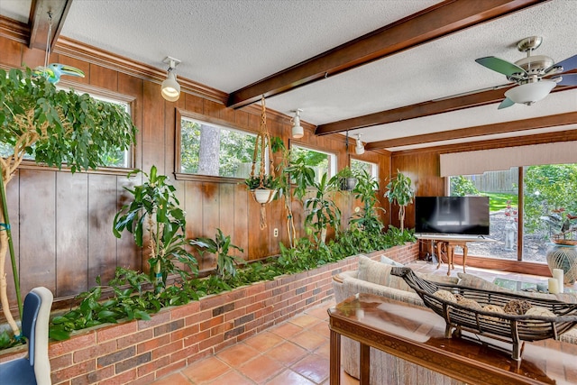 804 Camellia Rd, Augusta, GA 30909 - view of patio / terrace with a ceiling fan