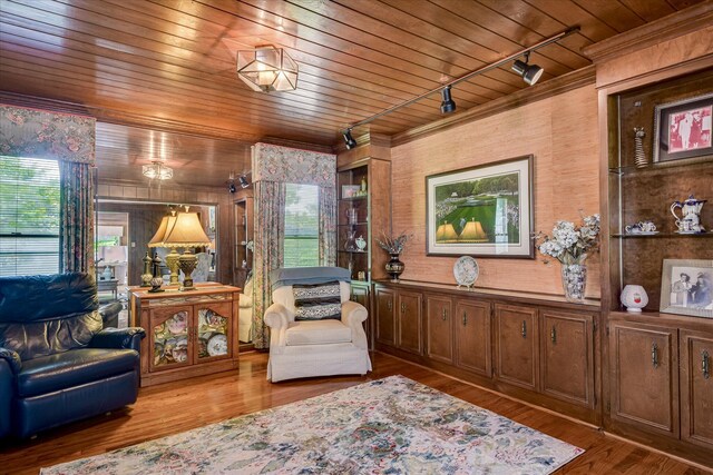 804 Camellia Rd, Augusta, GA 30909 - living area with rail lighting, wood ceiling, and wood finished floors