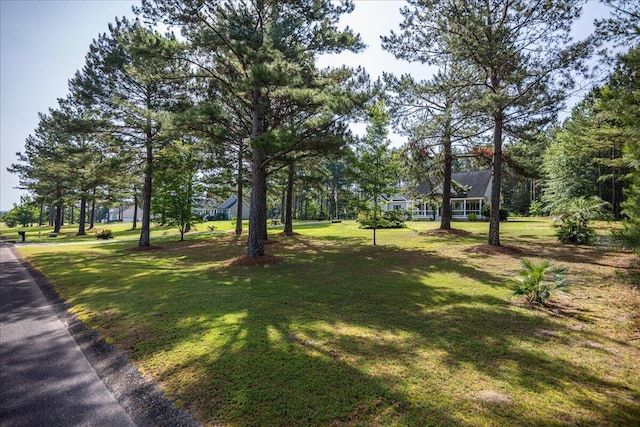 145 Aurum Way, Aiken, SC 29801 - photo 12