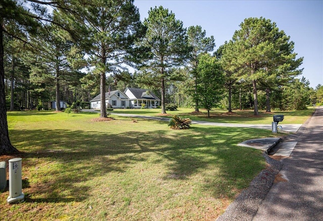 145 Aurum Way, Aiken, SC 29801 - photo 14