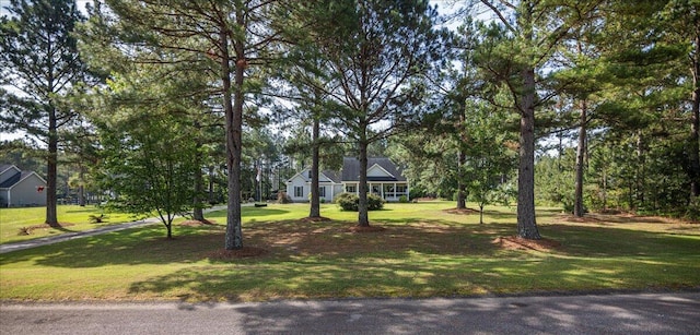 145 Aurum Way, Aiken, SC 29801 - photo 13