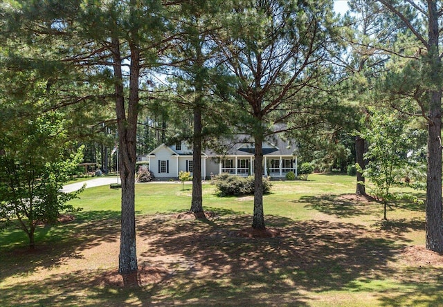 145 Aurum Way, Aiken, SC 29801 - photo 11