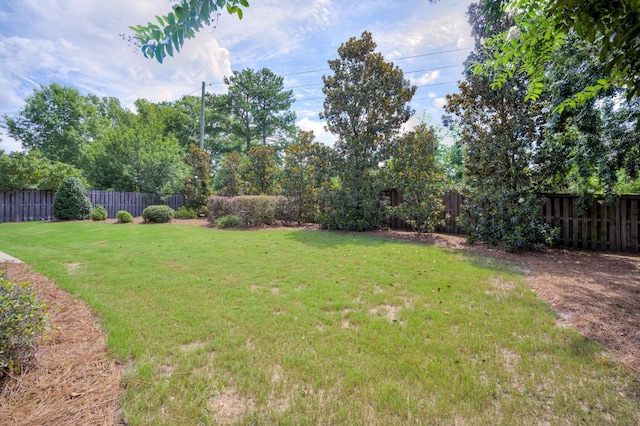 216 Dixon Ct, Evans, GA 30809 - view of fenced backyard