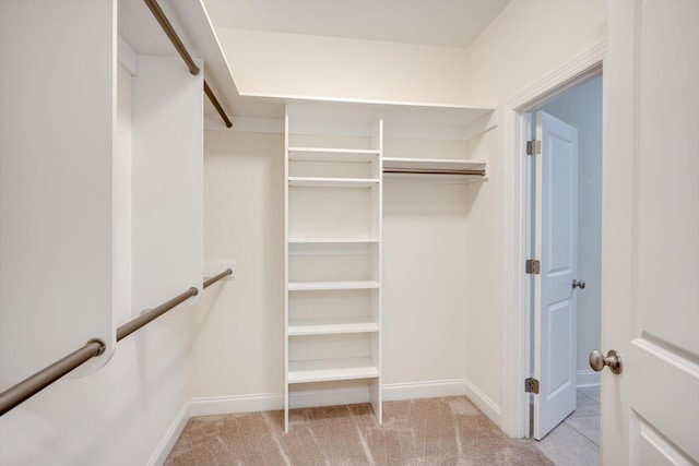 216 Dixon Ct, Evans, GA 30809 - walk in closet featuring carpet flooring