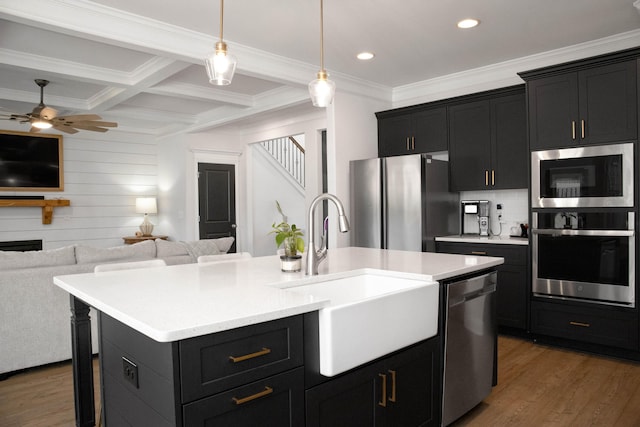 kitchen with light wood-type flooring, a sink, open floor plan, appliances with stainless steel finishes, and dark cabinets