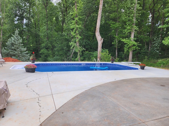 view of pool featuring a patio