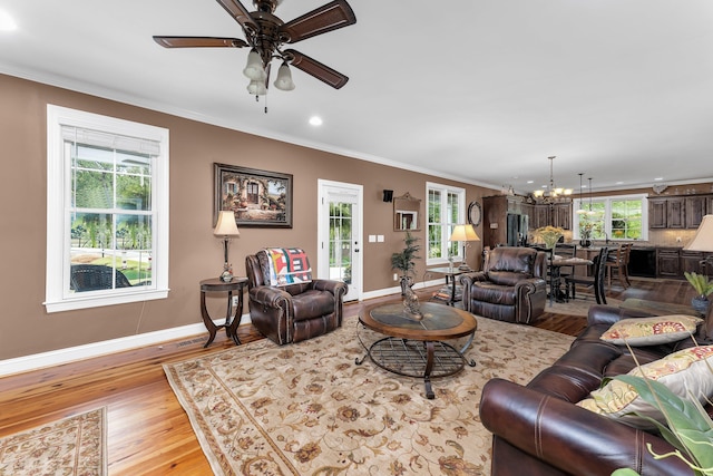 living room featuring ceiling fan with notable chandelier, light wood-type flooring, and ornamental molding