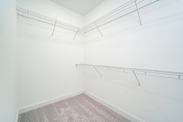 670 Jet Pass, Beech Island, SC 29842 - walk in closet with carpet floors