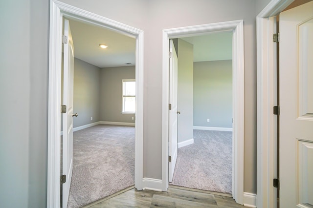 670 Jet Pass, Beech Island, SC 29842 - corridor featuring carpet flooring and wood finished floors