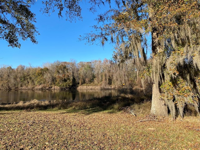 159 Rivers Run, Waynesboro, GA 30830 - photo 1