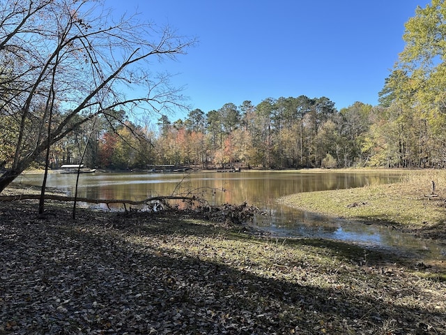 1235 Edge Ln, Tignall, GA 30668 - photo 6