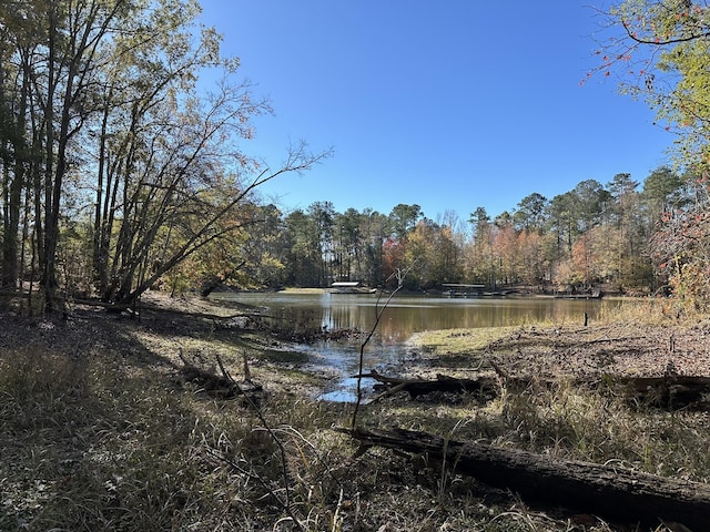 1235 Edge Ln, Tignall, GA 30668 - photo 5