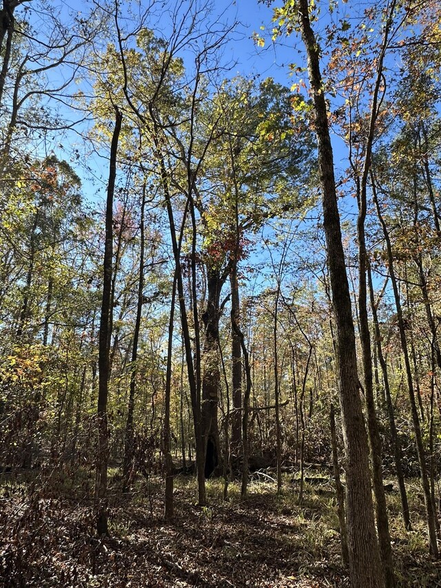 1235 Edge Ln, Tignall, GA 30668