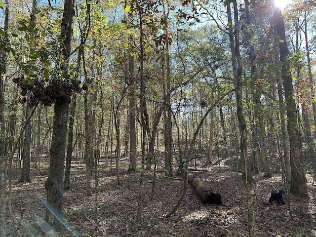 1235 Edge Ln, Tignall, GA 30668 - photo 4