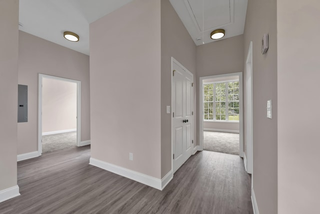 hallway featuring hardwood / wood-style flooring and electric panel