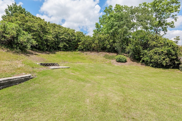 703 Talon Ct, Evans, GA 30809 - view of grassy yard