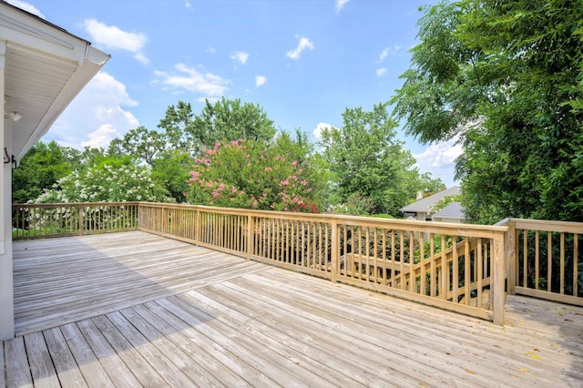 1224 Meigs St, Augusta, GA 30904 - photo 35
