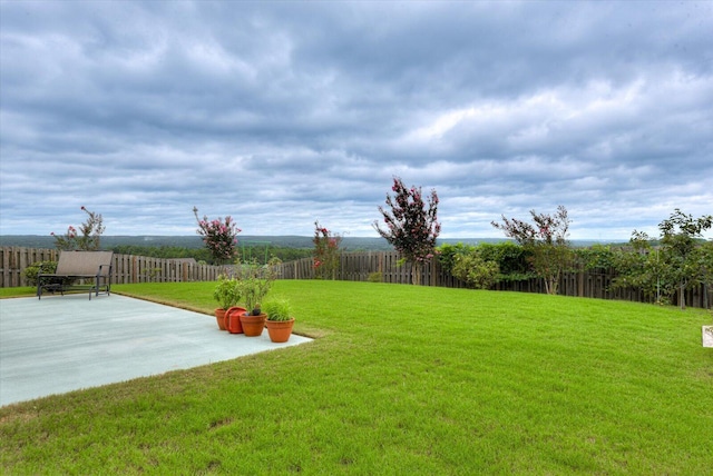 view of yard with a patio area