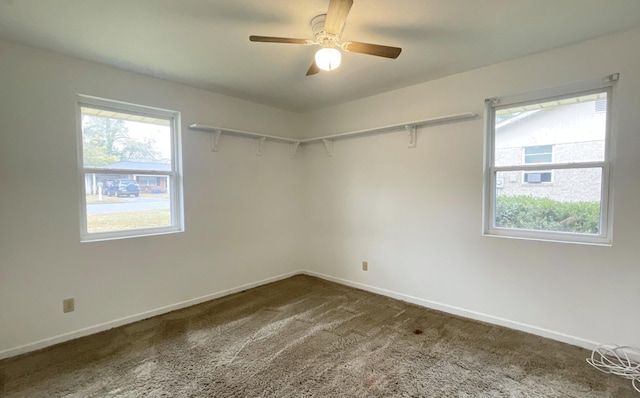 unfurnished room featuring ceiling fan, carpet, and a healthy amount of sunlight