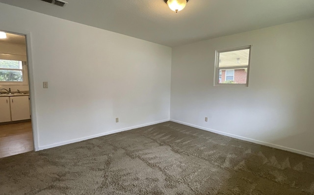 carpeted empty room with a healthy amount of sunlight and sink