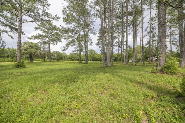 509 Augusta Rd, Edgefield, SC 29824 - photo 21