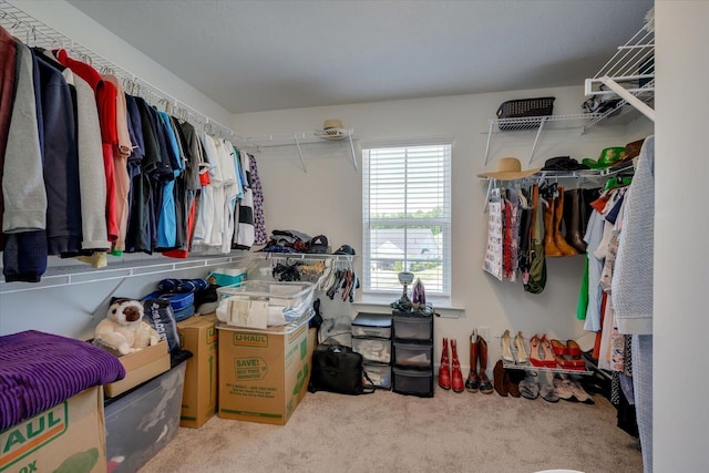 203 Preston Ct, North Augusta, SC 29860 - spacious closet featuring carpet