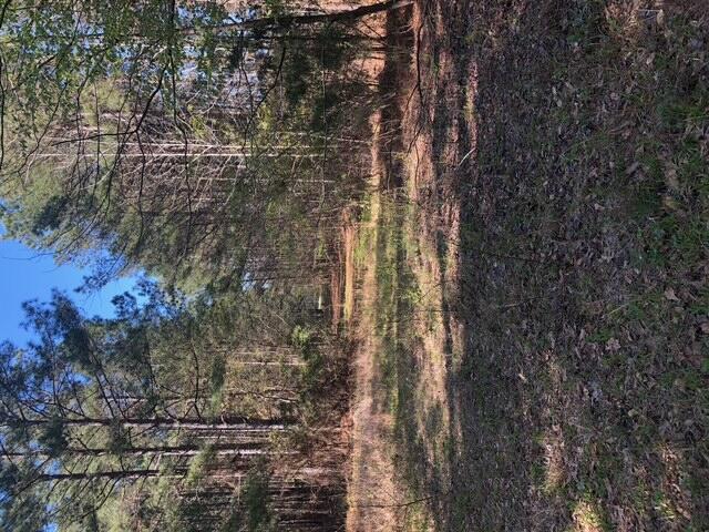 - Starr Hinson Road, Thomson, GA 30824