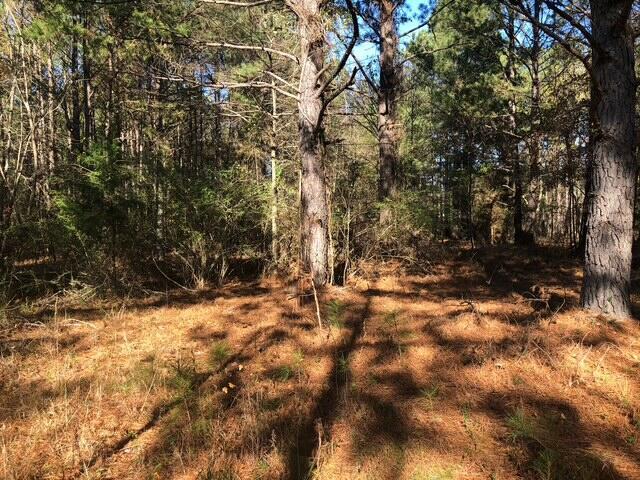 - Starr Hinson Road, Thomson, GA 30824