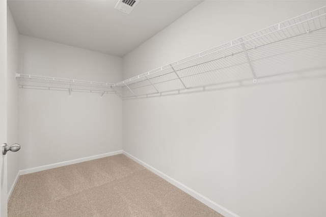 1256 Birch Cir, Grovetown, GA 30813 - walk in closet featuring carpet flooring