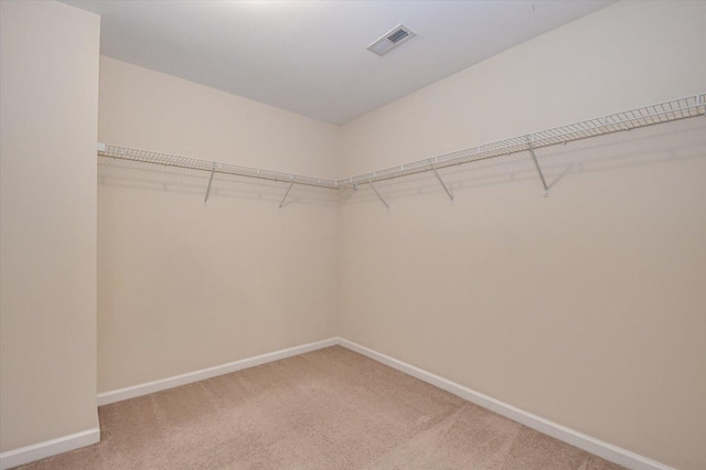 spacious closet featuring carpet flooring