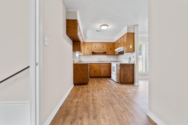 kitchen with brown cabinets, white range with electric stovetop, light countertops, a sink, and light wood-style flooring