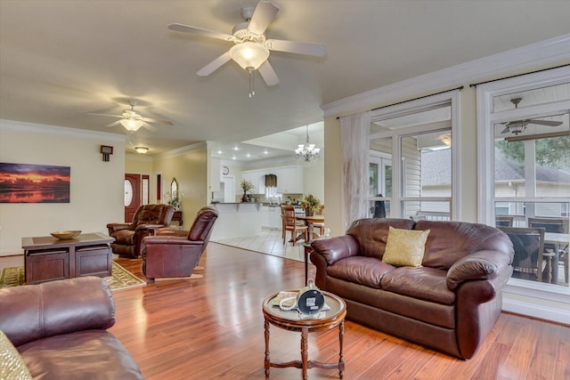 living room featuring ceiling fan with notable chandelier, light hardwood / wood-style floors, and crown molding