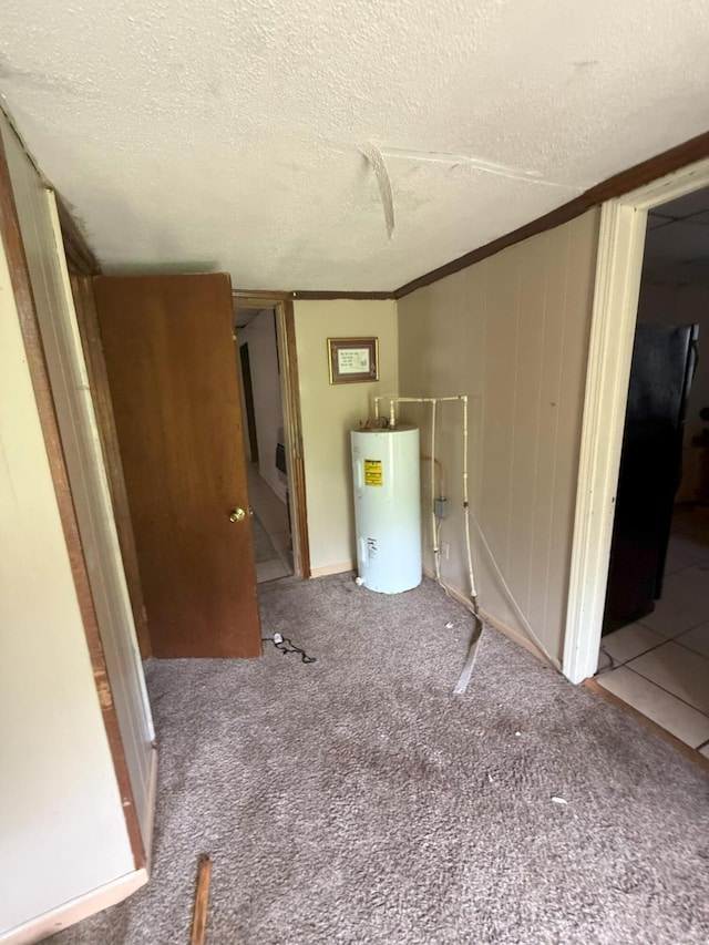 205 Addison St, Johnston, SC 29832 - finished below grade area featuring electric water heater, carpet floors, a textured ceiling, and crown molding