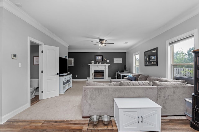 living room with crown molding, ceiling fan, wood finished floors, and a glass covered fireplace