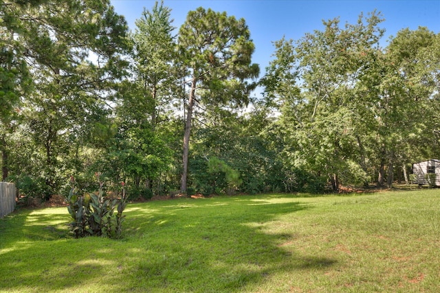 3650 Crawfordville Dr, Augusta, GA 30909 - view of yard
